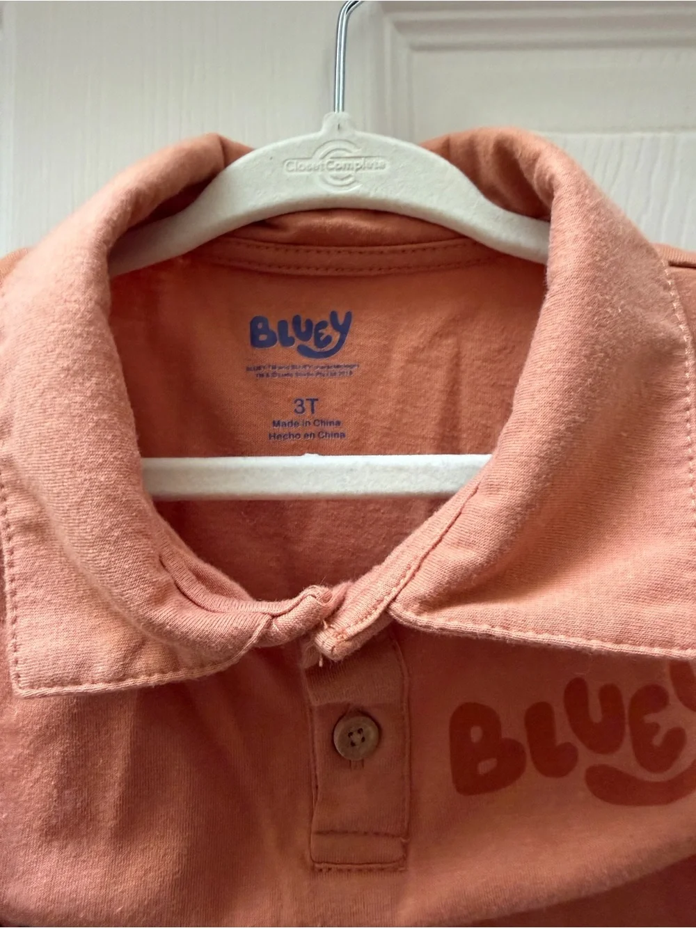 Bluey Polo + Shorts Palm Tree Set
